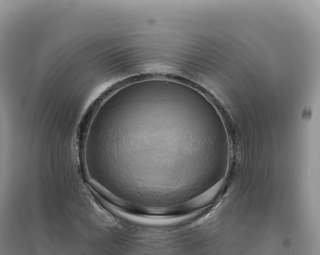 X0000094371022200711091533