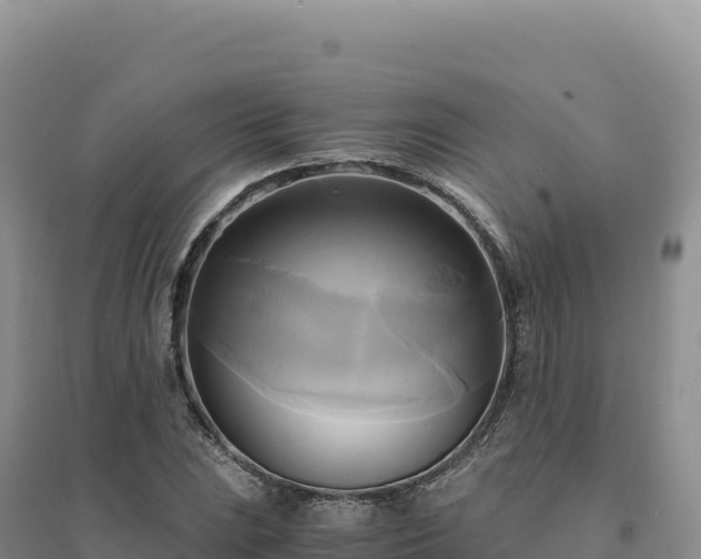 X0000094371023200711091533