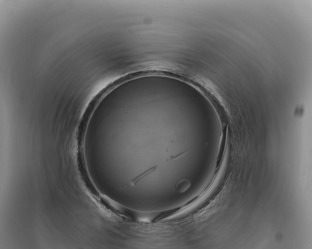 X0000094371024200711091533