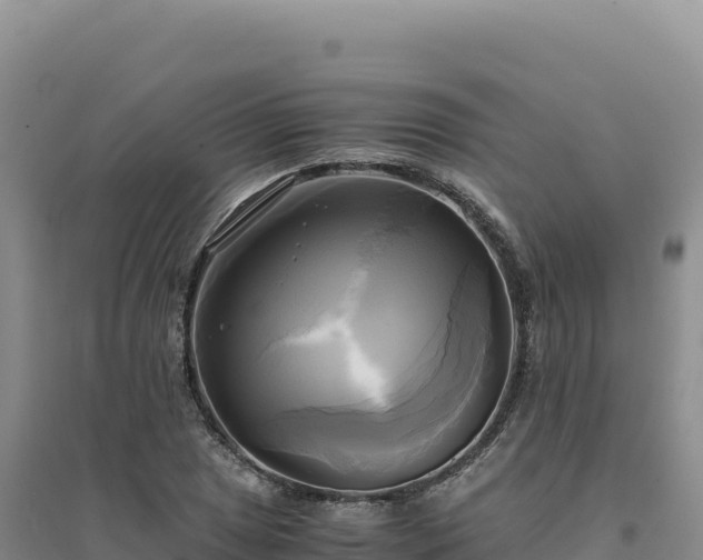 X0000094371025200711091533
