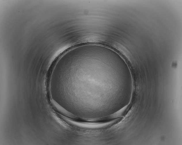 X0000094371026200711091533