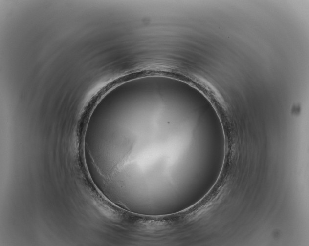 X0000094371027200711091533