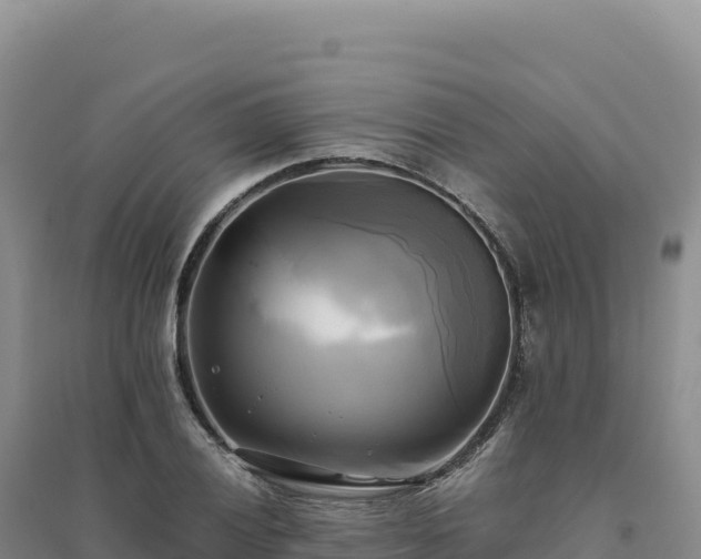X0000094371028200711091533