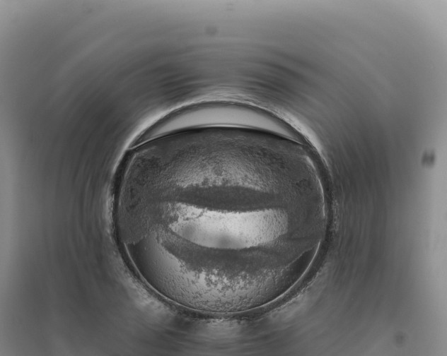 X0000094371029200711091533