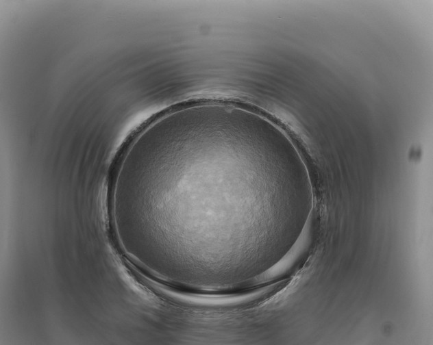 X0000094371030200711091533