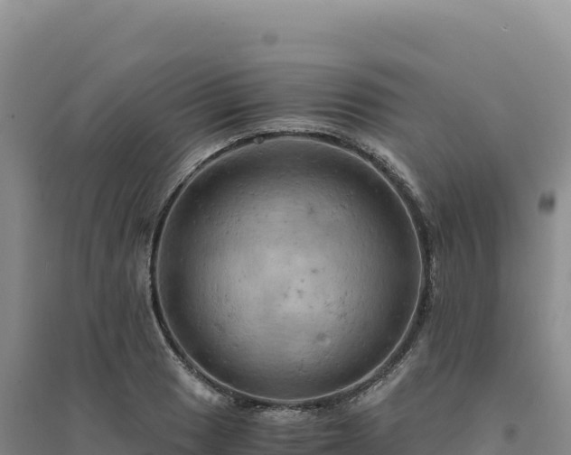 X0000094371033200711091533