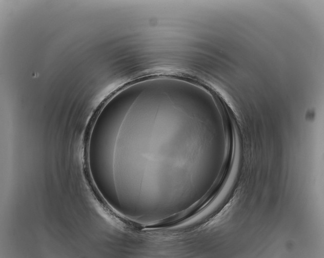 X0000094371034200711091533