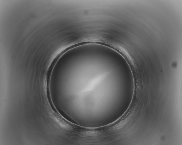 X0000094371035200711091533