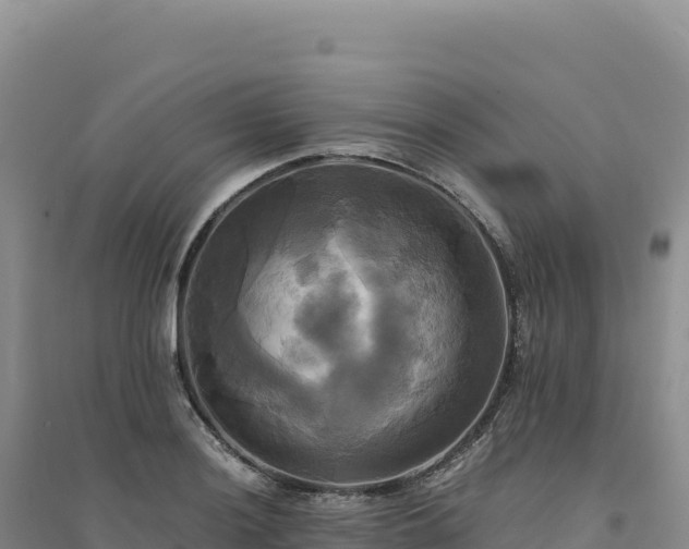 X0000094371036200711091533