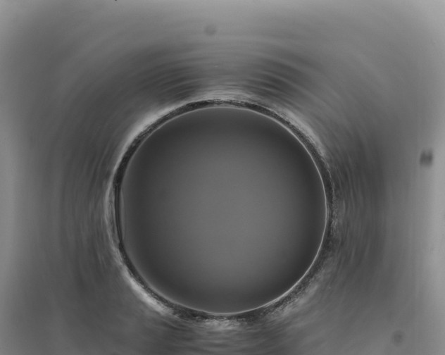 X0000094371037200711091533
