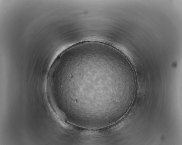 X0000094371040200711091533