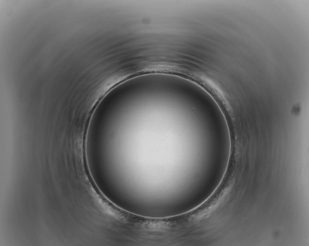 X0000094371041200711091533