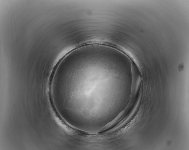 X0000094371042200711091533