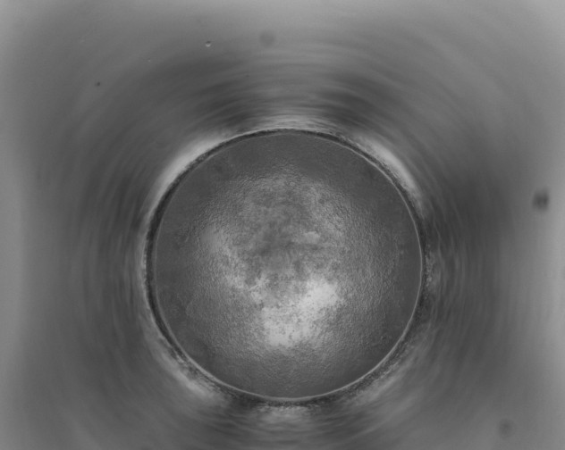 X0000094371043200711091533