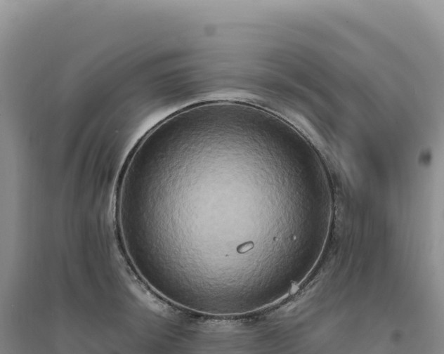 X0000094371044200711091533
