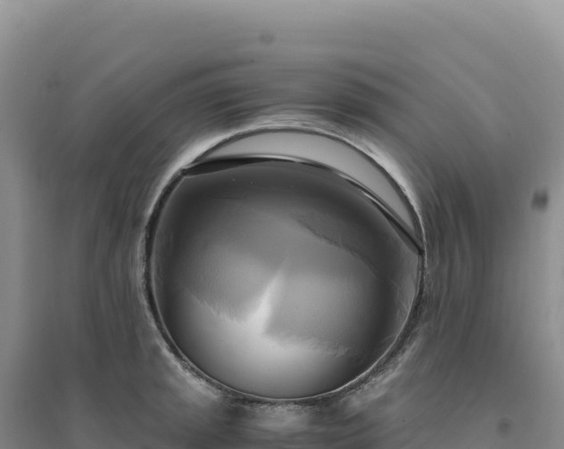 X0000094371045200711091533