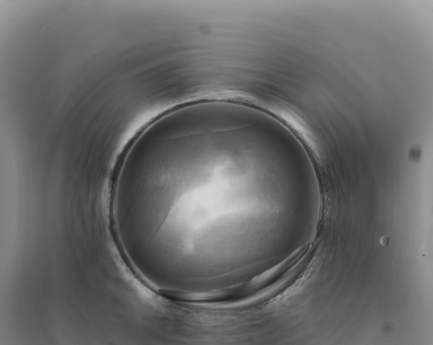 X0000094371046200711091533