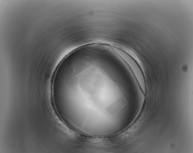 X0000094371048200711091533