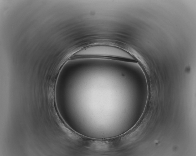 X0000094371049200711091533