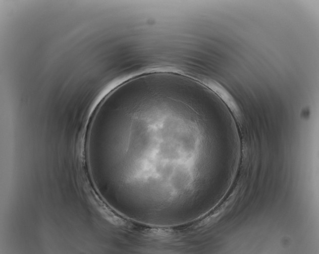 X0000094371052200711091533