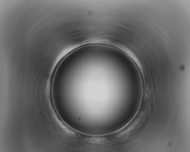 X0000094371053200711091533