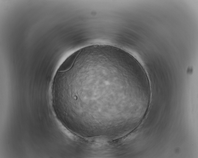 X0000094371056200711091533