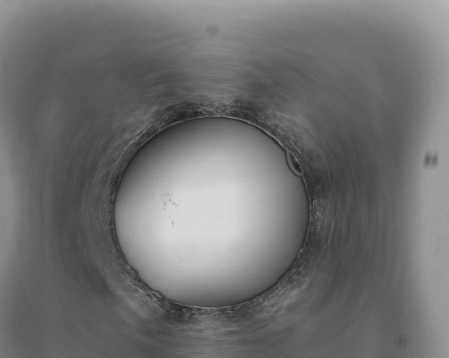 X0000094371057200711091532