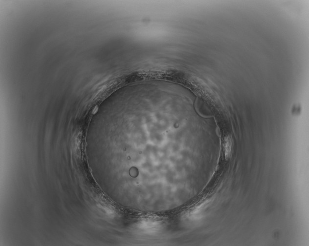 X0000094371059200711091532