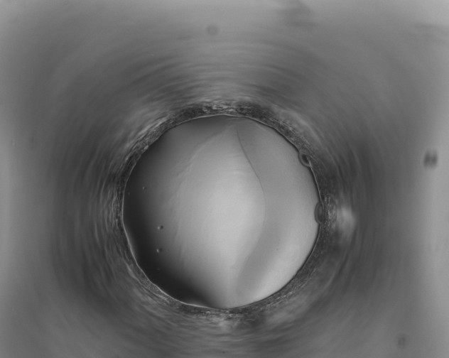 X0000094371060200711091532