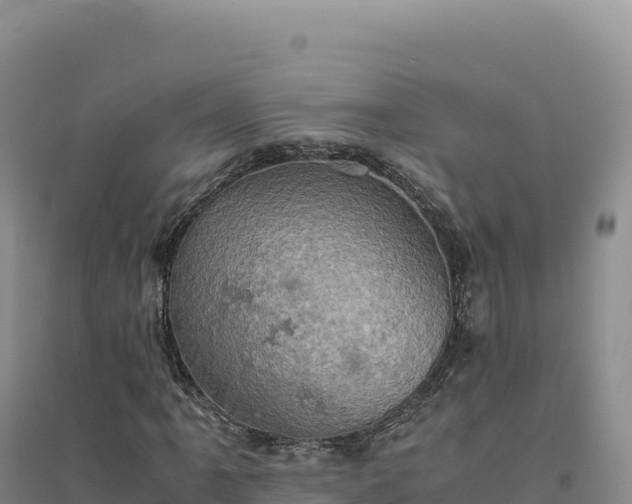 X0000094371061200711091532