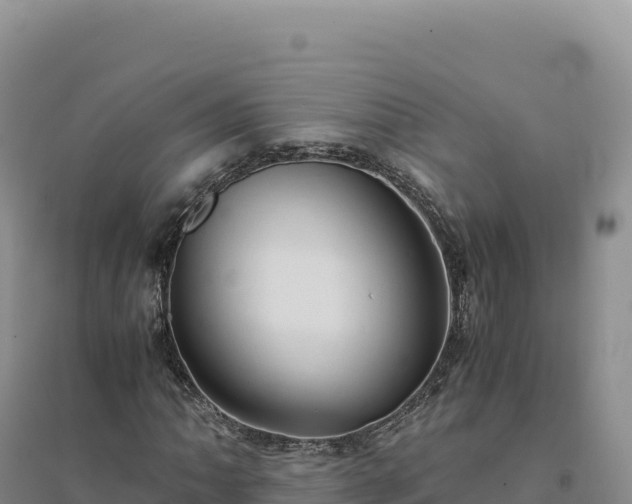 X0000094371062200711091532