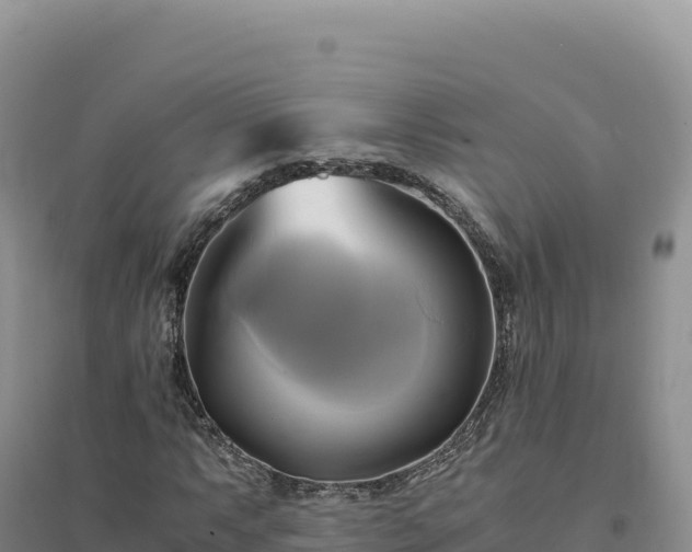 X0000094371063200711091532