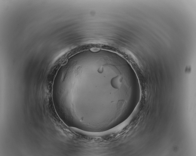 X0000094371064200711091532