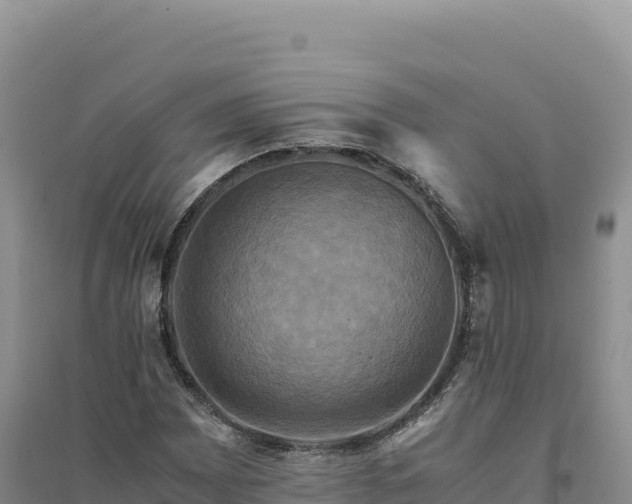 X0000094371065200711091532