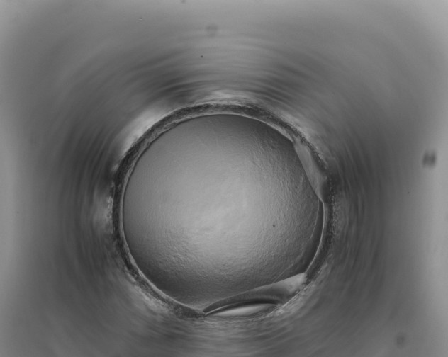X0000094371066200711091532