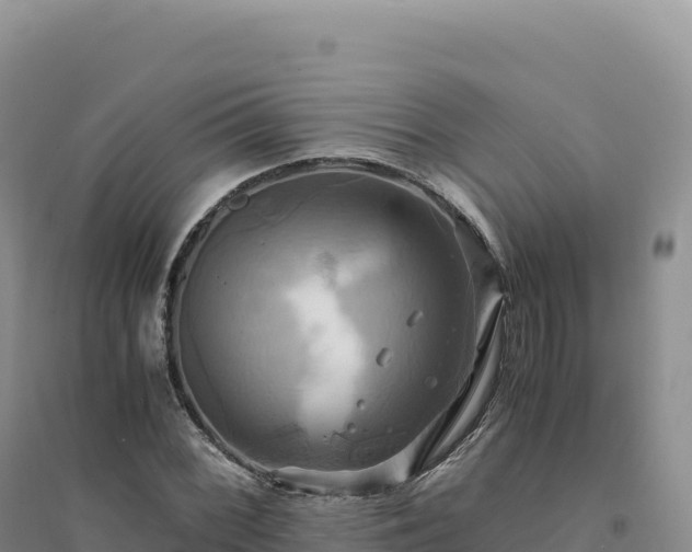 X0000094371068200711091532