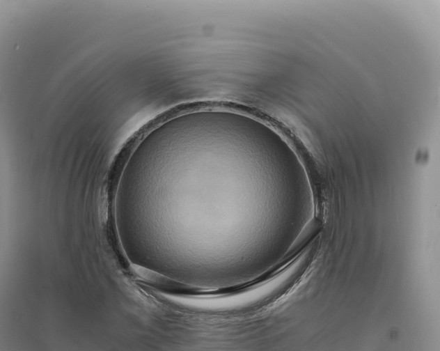 X0000094371069200711091532