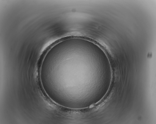 X0000094371070200711091532