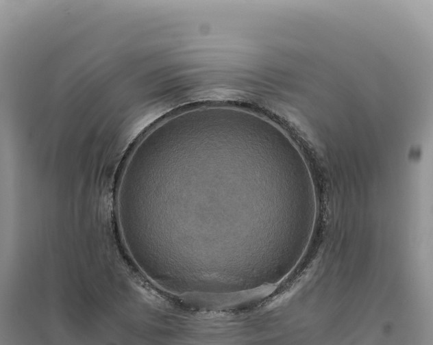 X0000094371073200711091532