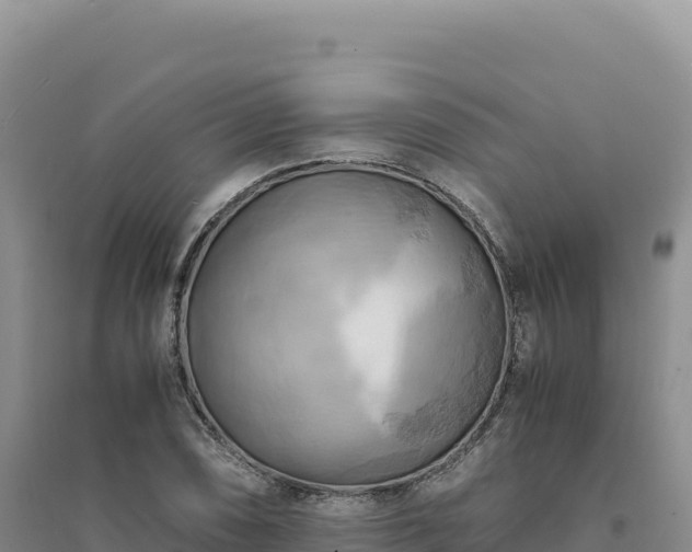 X0000094371074200711091532