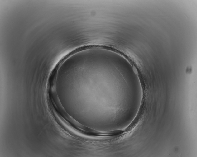 X0000094371077200711091532