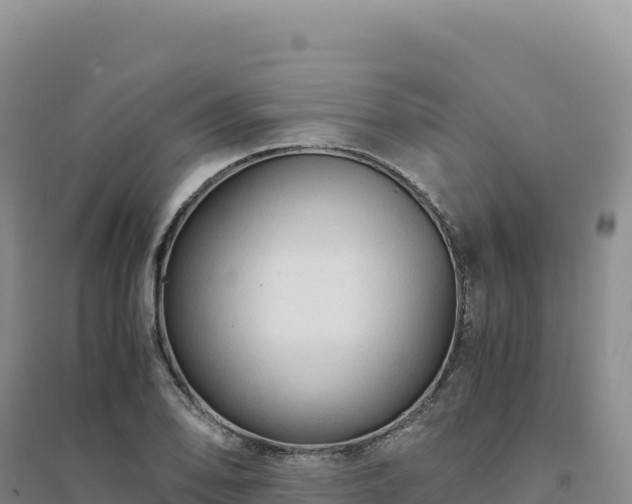 X0000094371078200711091532
