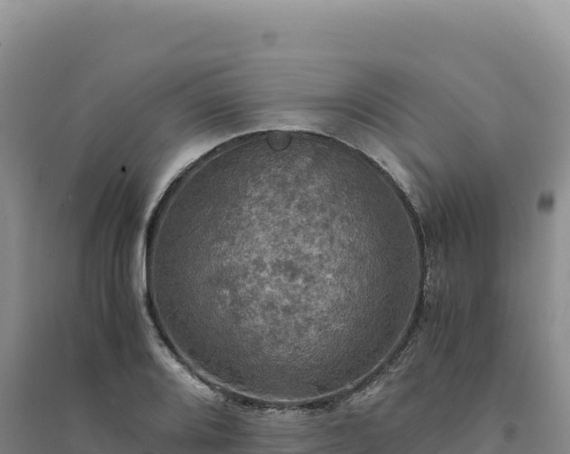 X0000094371080200711091532
