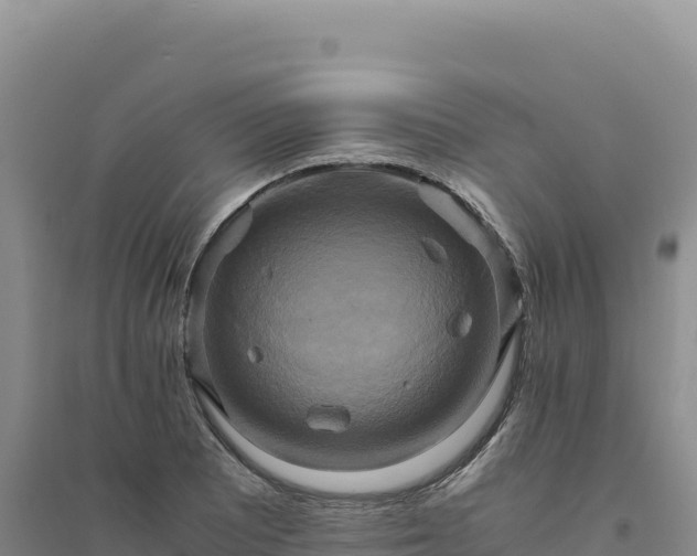 X0000094371081200711091532
