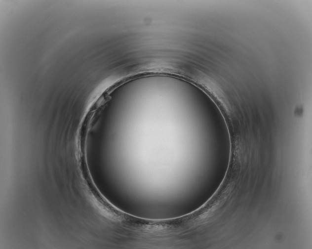 X0000094371082200711091532