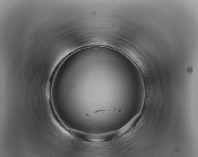X0000094371084200711091532