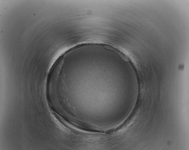 X0000094371085200711091532