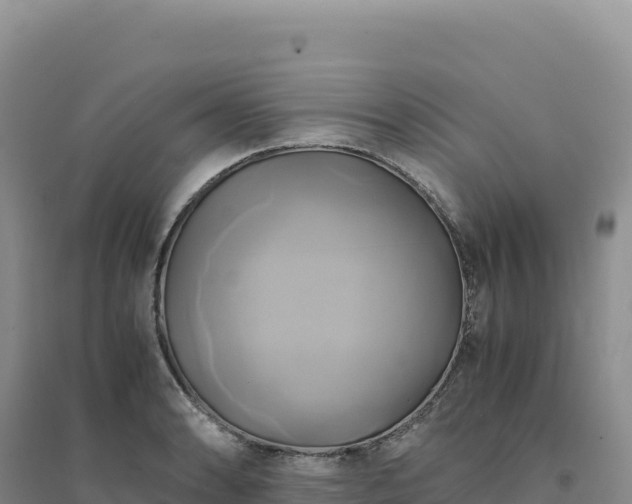 X0000094371086200711091532