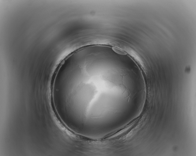 X0000094371088200711091532