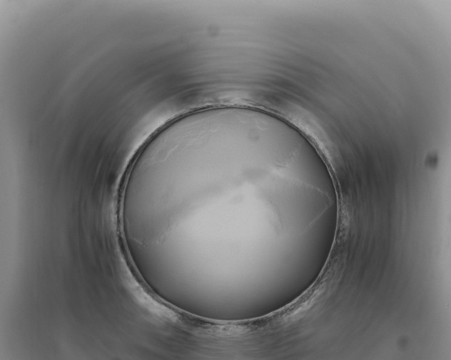 X0000094371090200711091532